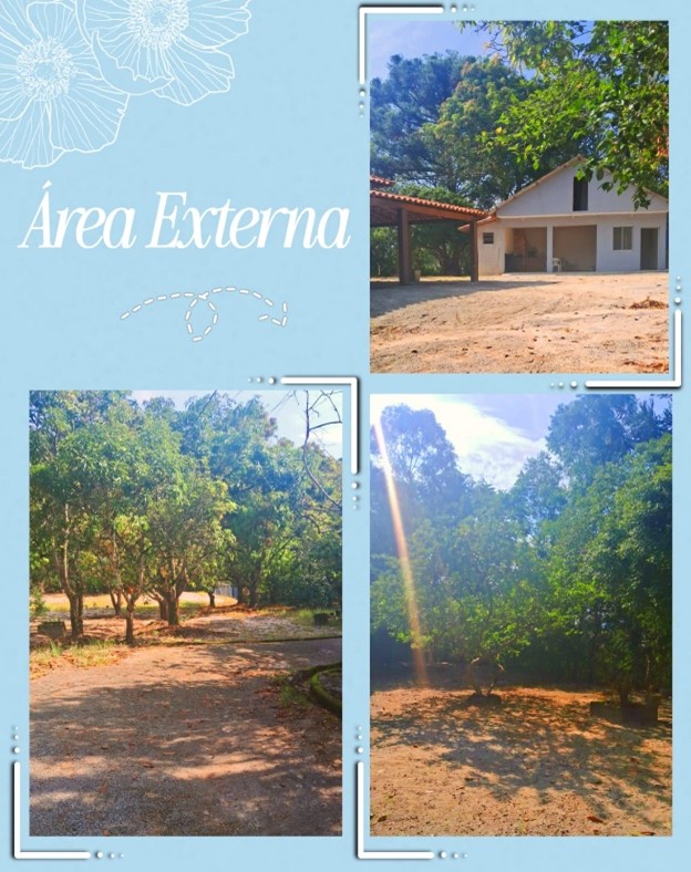 Imagem26